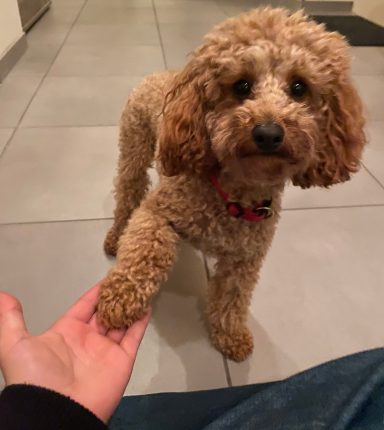 Hallo :)