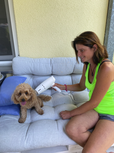 Ozontherapie Hund